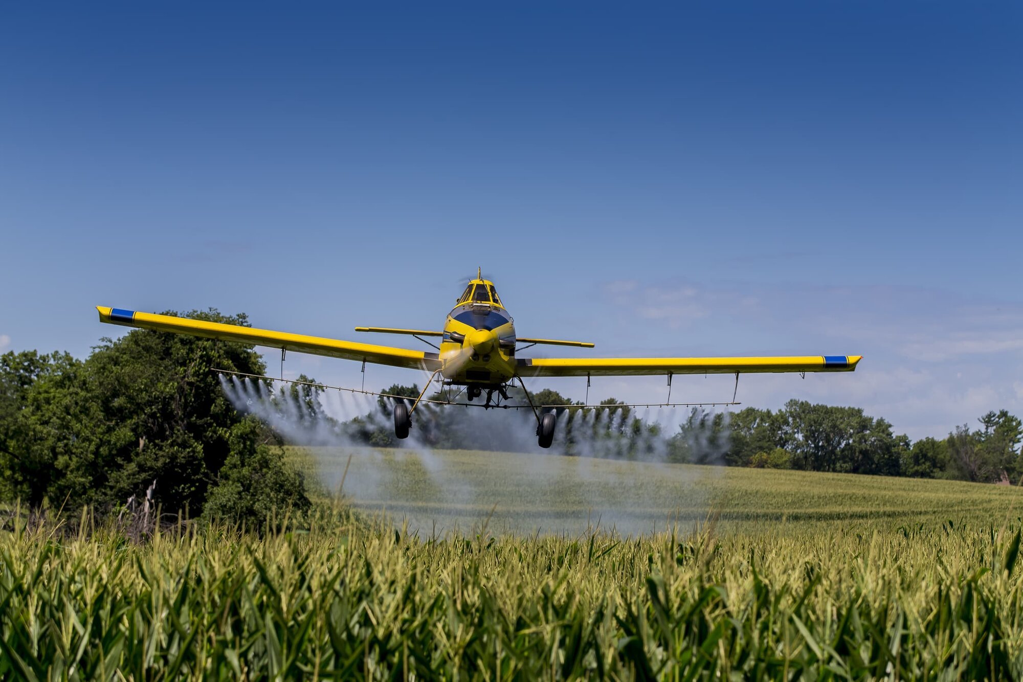 Pesticide Handler Safety