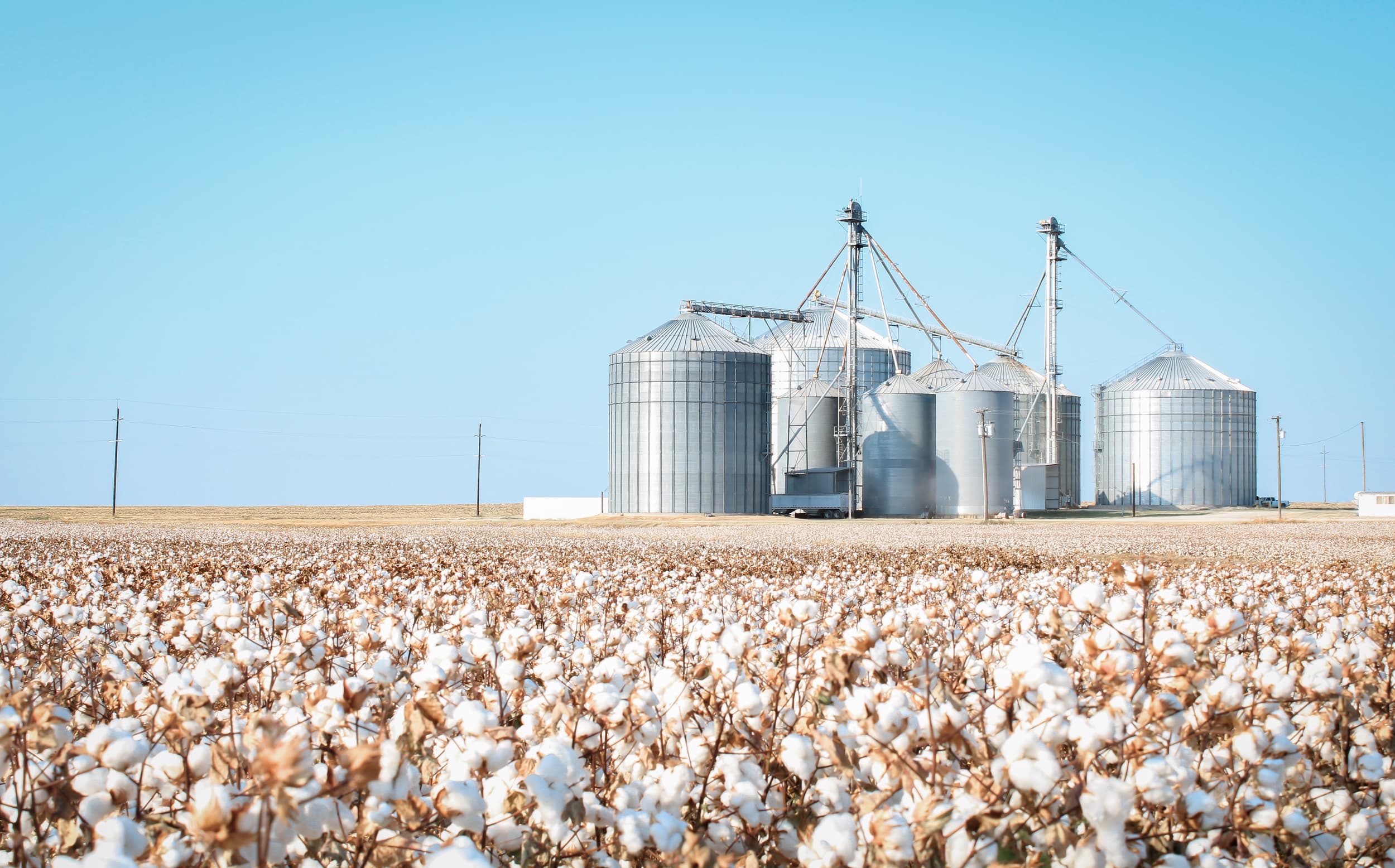 Cal/OSHA Cotton Dust Safety