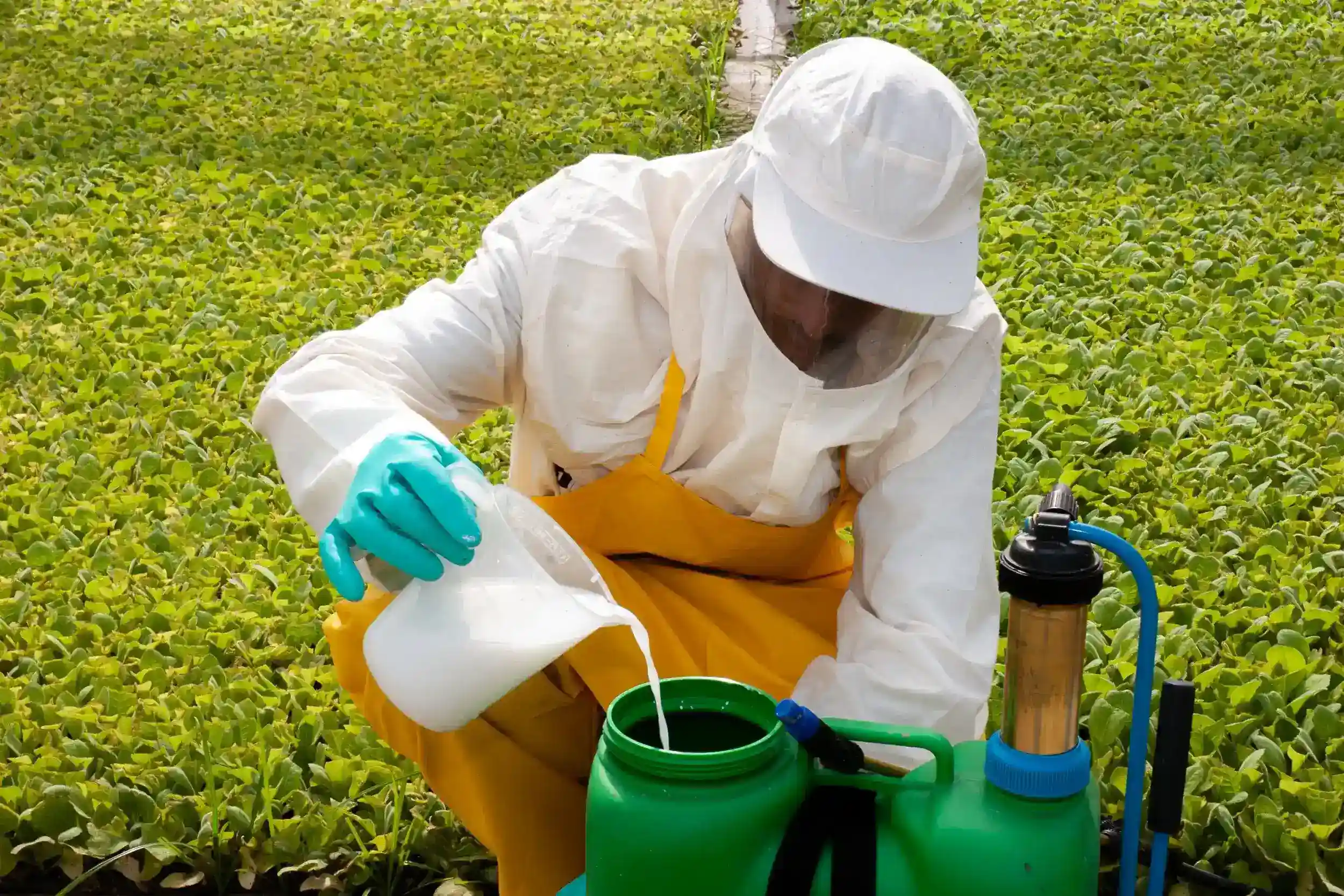 Pesticide Handler Safety