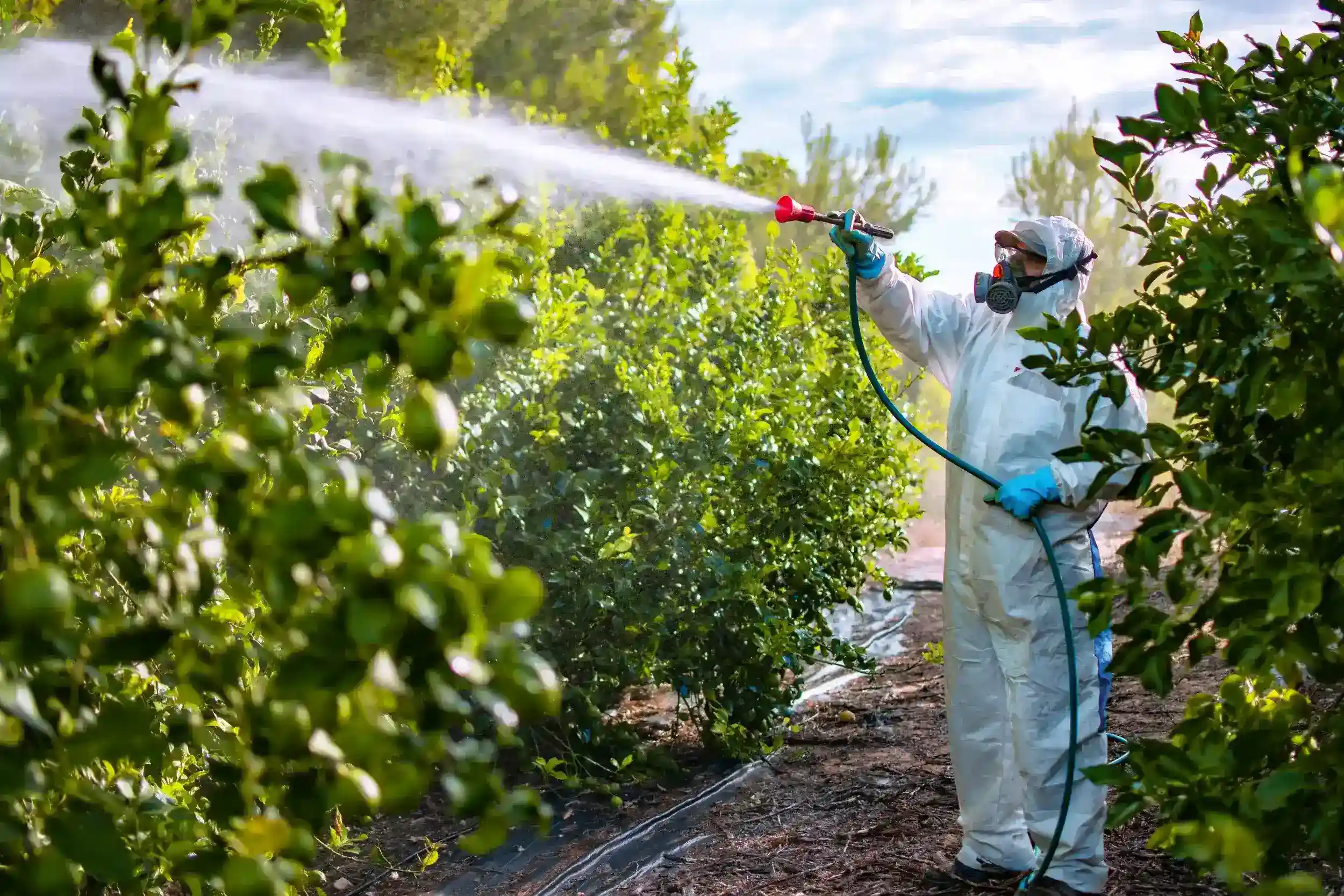 Pesticide Worker Safety