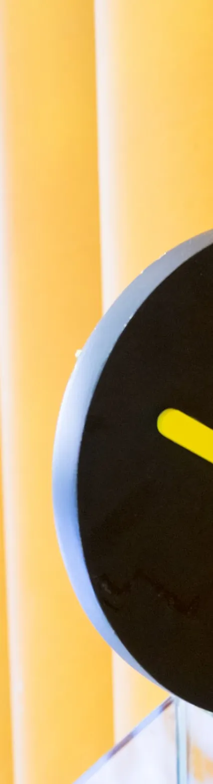 SLIPS, TRIPS & FALLS WALKING WORKING SURFACES