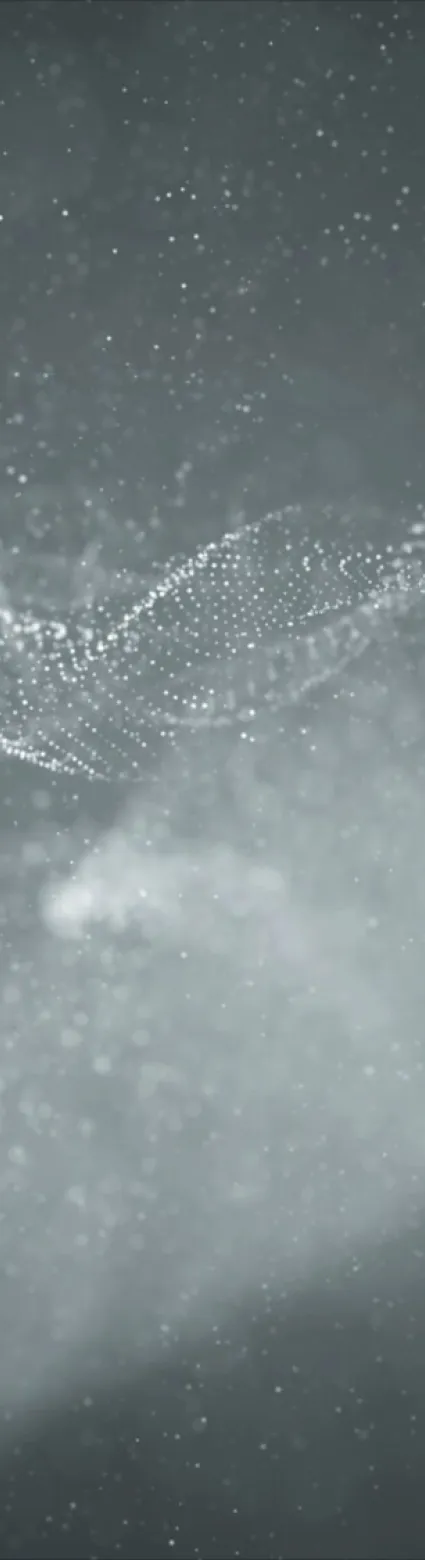 The Health Impacts of Crystalline Silica Exposure