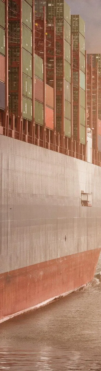 A Complete Guide to IMO Dangerous Goods Declaration