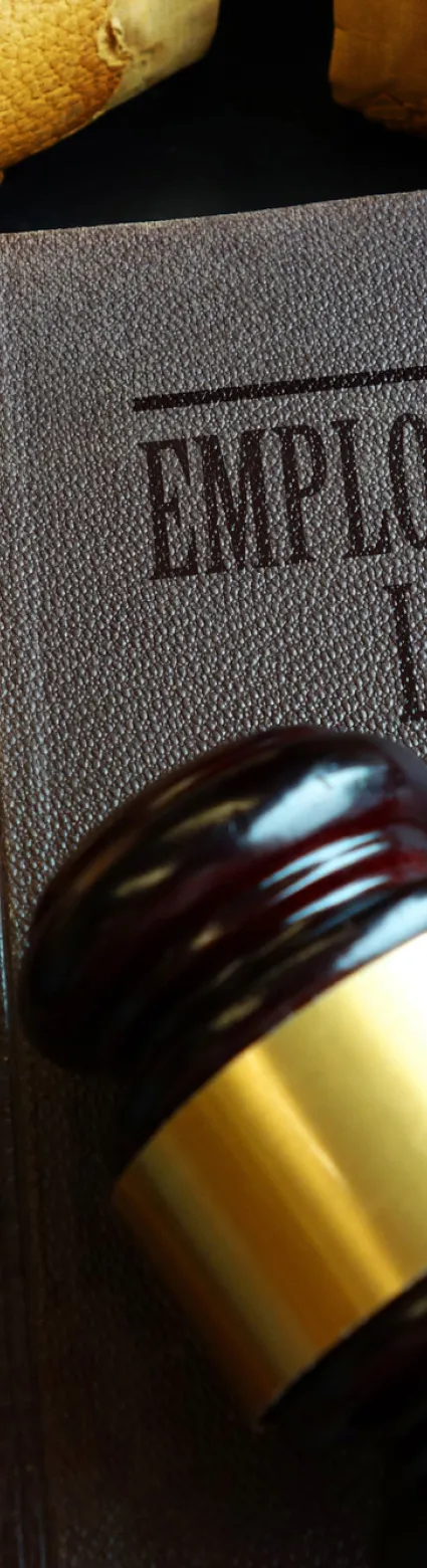 What Is Employment Law? Your Guide