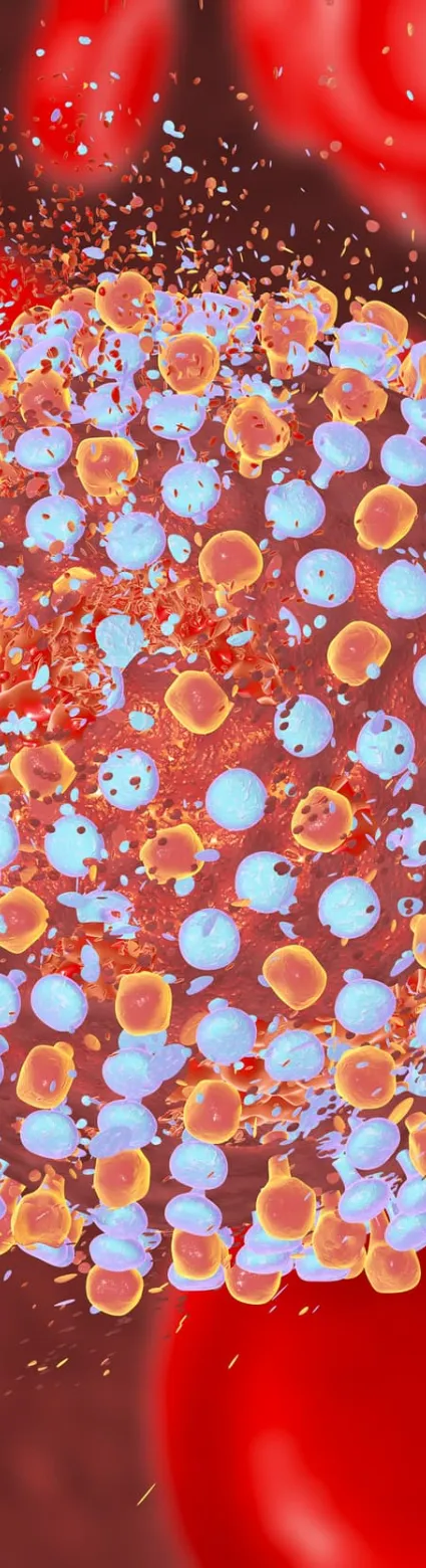 Bloodborne Pathogens Online Training