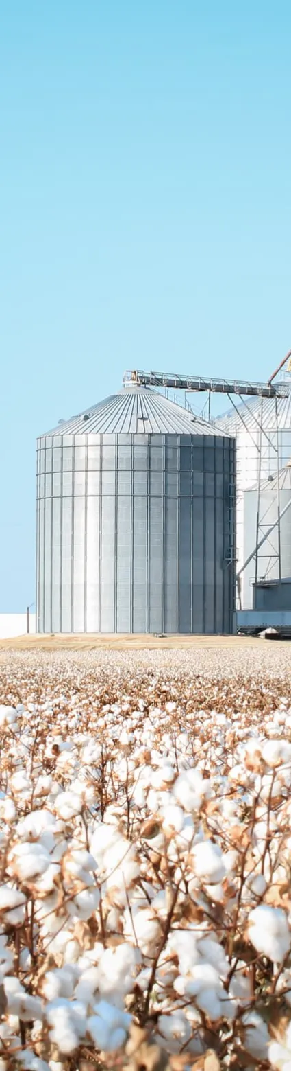 Cal/OSHA Cotton Dust Safety