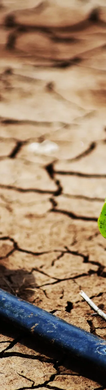 ENVIRONMENTAL PROTECTION AGENCY ONLINE TRAINING CERTIFICATE COURSES