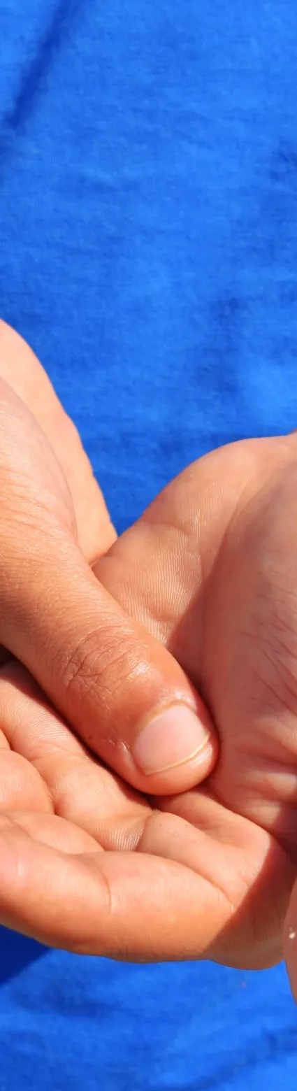 Medical Ergonomics Online Training