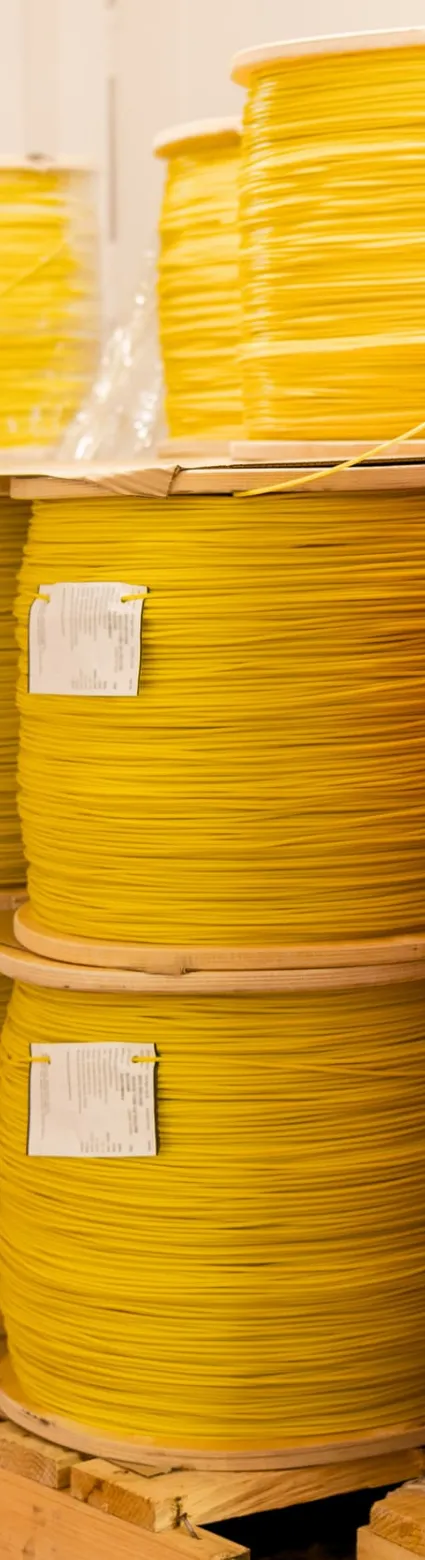 IATA DGR Class 1 Explosives 66th