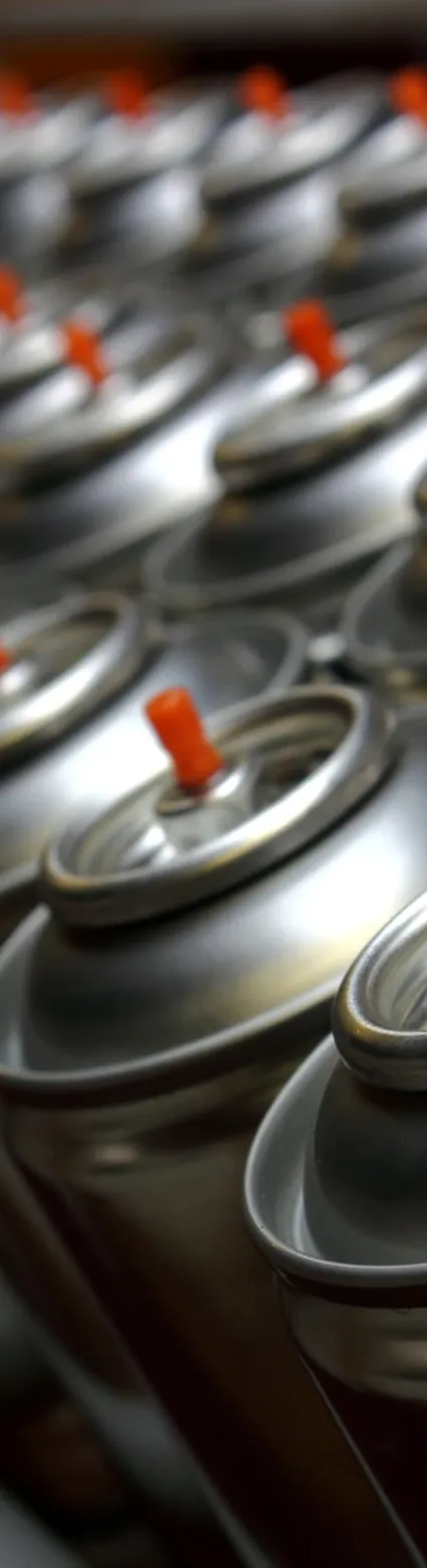 IATA DGR Class 2 Gases 66th