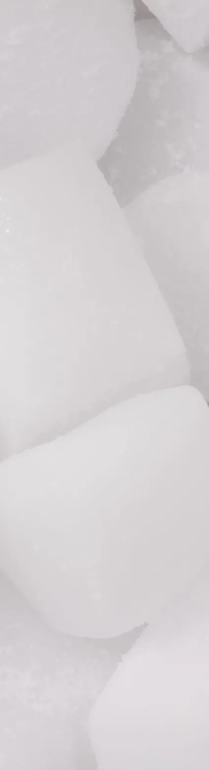 IATA DGR Class 9 Miscellaneous 66th