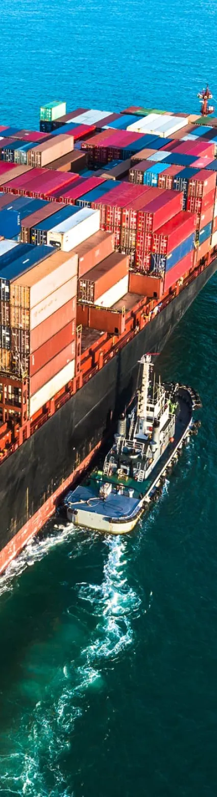 IMO ONLINE TRAINING CERTIFICATE COURSES