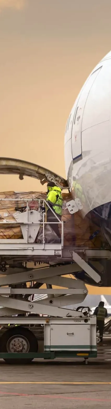 Which Employees Need IATA Dangerous Goods Training?