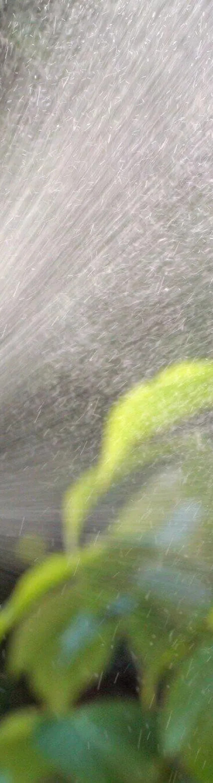 Safe Handling: A Look at Pesticide Safety Training and Certification