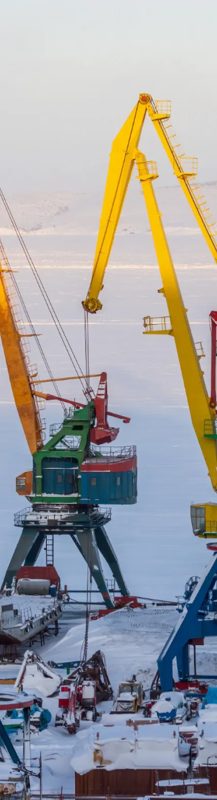 5 Tips for Finding a Cold Stress, Illness, and Injury Safety Course